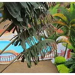Homely 1 Bedroom With A Balcony, Westlands Nairobi