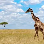Tranquil 1Br Near Jkia Sgr With National Park View