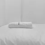 Comfort Cove