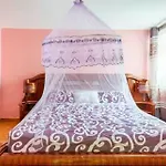 Aoukings Home