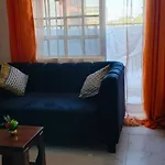 Rubi 1