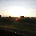 Nairobi Urban Walk