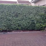 Mamu\'S Residence Near Jkia