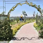 Cozy Homes Sabaki3
