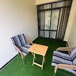 D Denis Garden