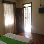 Nemadek Home