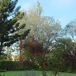 Murangi House