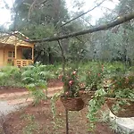 Severine Cottages And Lounge