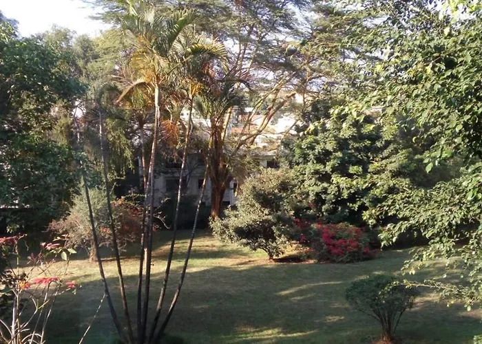 Quiet Comfortable Studio With Mature Garden View.