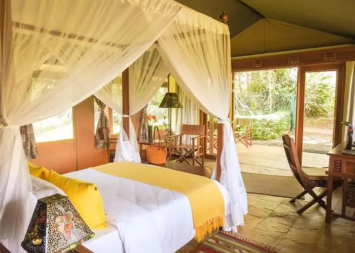 Orbitir Burrow Luxury Tent