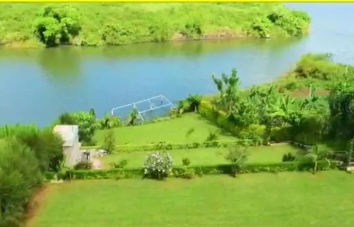 Lulu Ziwani Garden