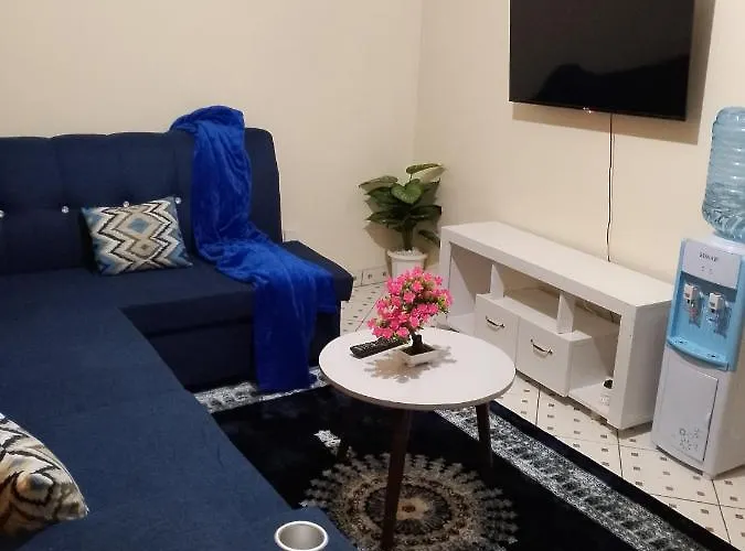 One Bedroom Apartments In South B