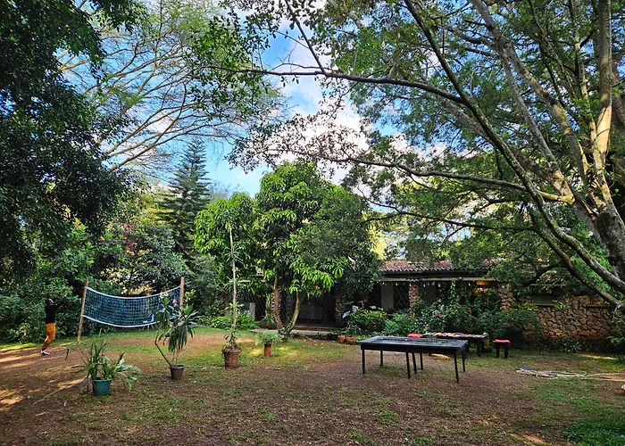 Mad Vervet Nairobi Backpackers Hostel