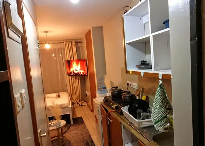 Stylish Studio Near Jkia Fedha