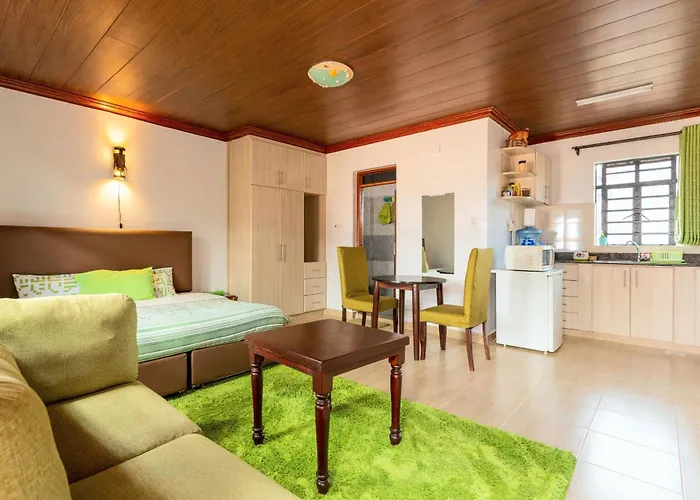 Spacious Penthouse Rooftop Studio With King Bed