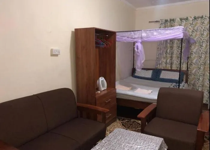 Comfortable Studio