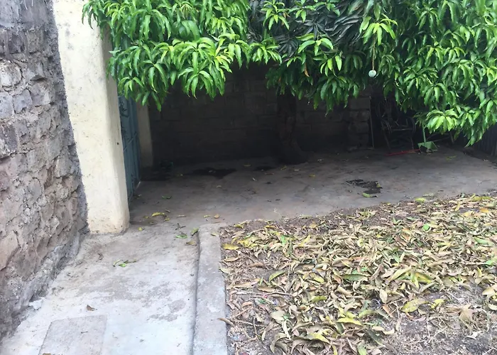 The Happy House