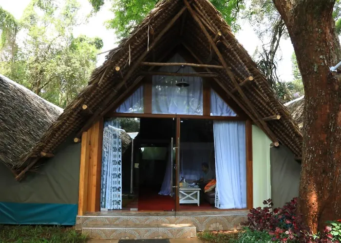 The Giraffe Cottages