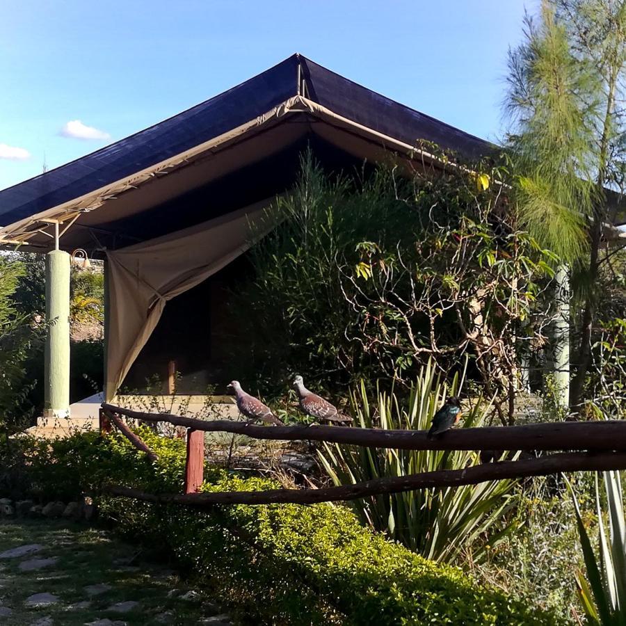 The Islandream Luxury tent