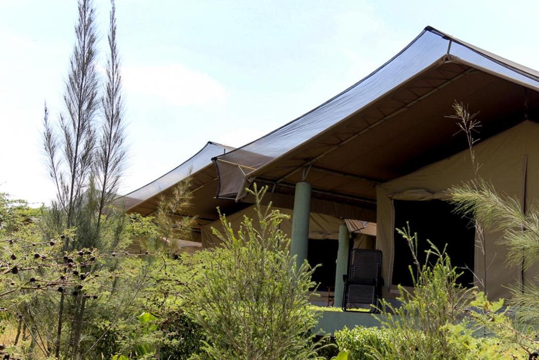 Luxury tent The Islandream 3*