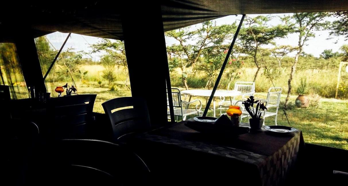 Luxury tent The Islandream 3*