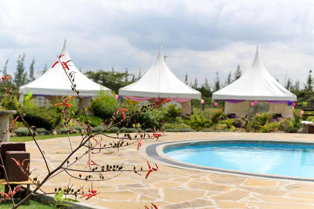 The Islandream Luxury tent