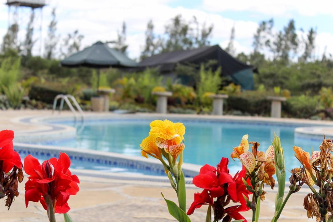 The Islandream Nairobi