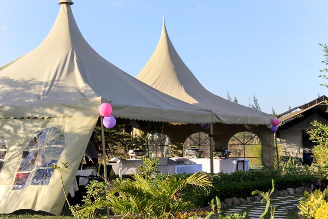 Luxury tent The Islandream 3*