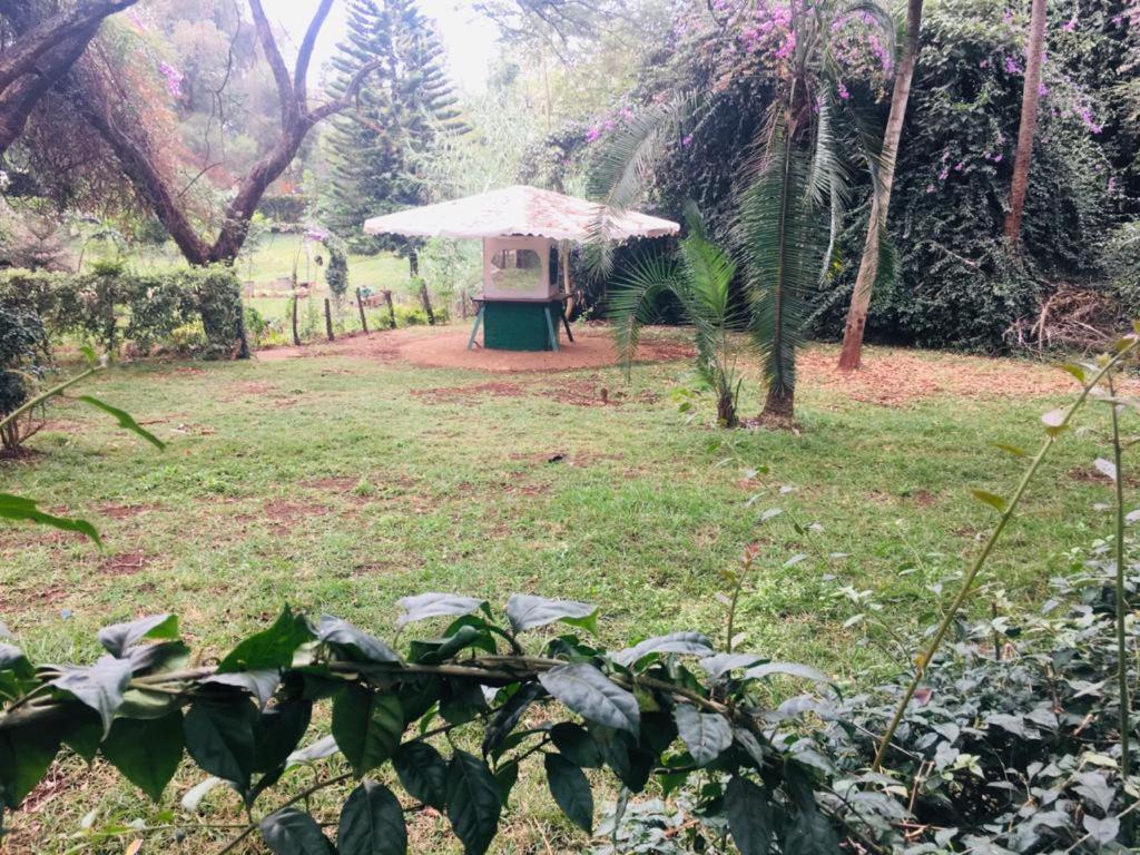 Campsite Idyllic Mistley House And Gardens Off Kamiti Road.