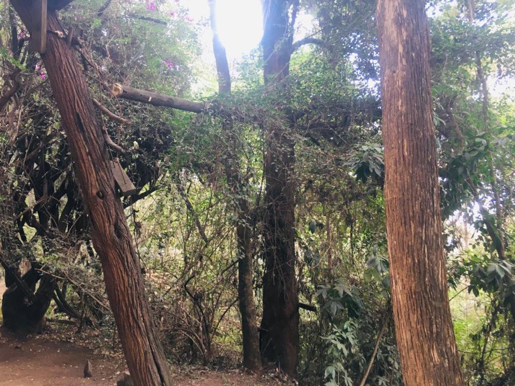 Idyllic Mistley House And Gardens Off Kamiti Road. * Nairobi