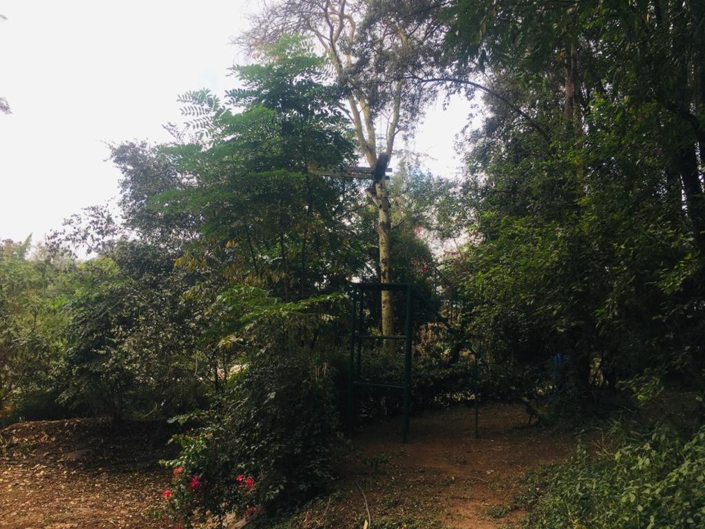 Idyllic Mistley House And Gardens Off Kamiti Road. Campsite Nairobi