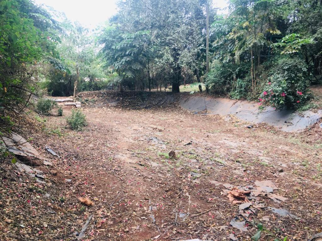 Campsite Idyllic Mistley House And Gardens Off Kamiti Road. Nairobi