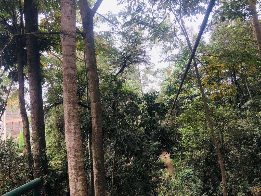 Idyllic Mistley House And Gardens Off Kamiti Road. Nairobi