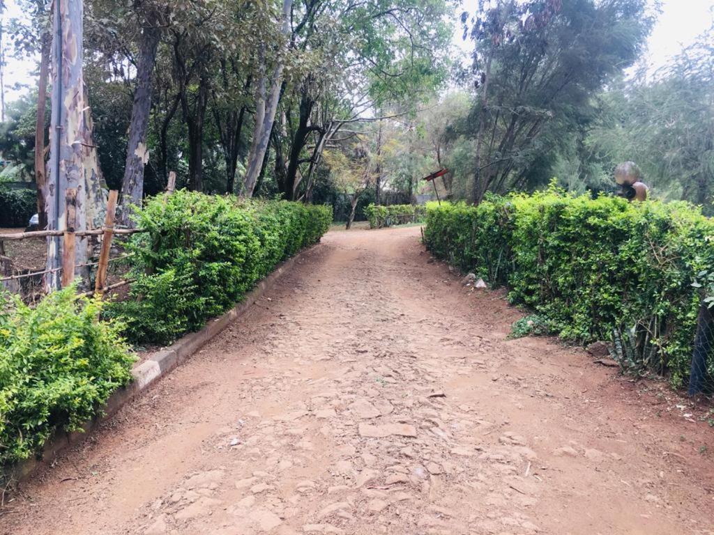 Campsite Idyllic Mistley House And Gardens Off Kamiti Road.