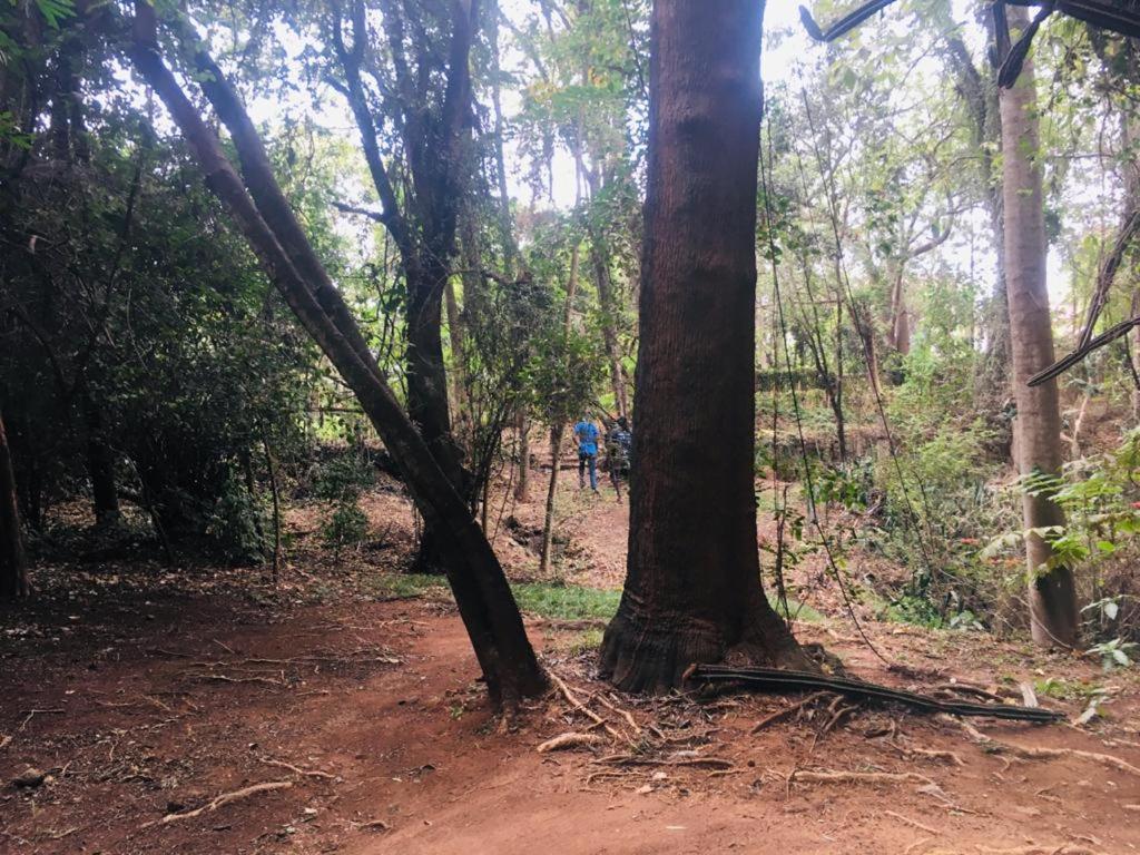 Idyllic Mistley House And Gardens Off Kamiti Road. Campsite *