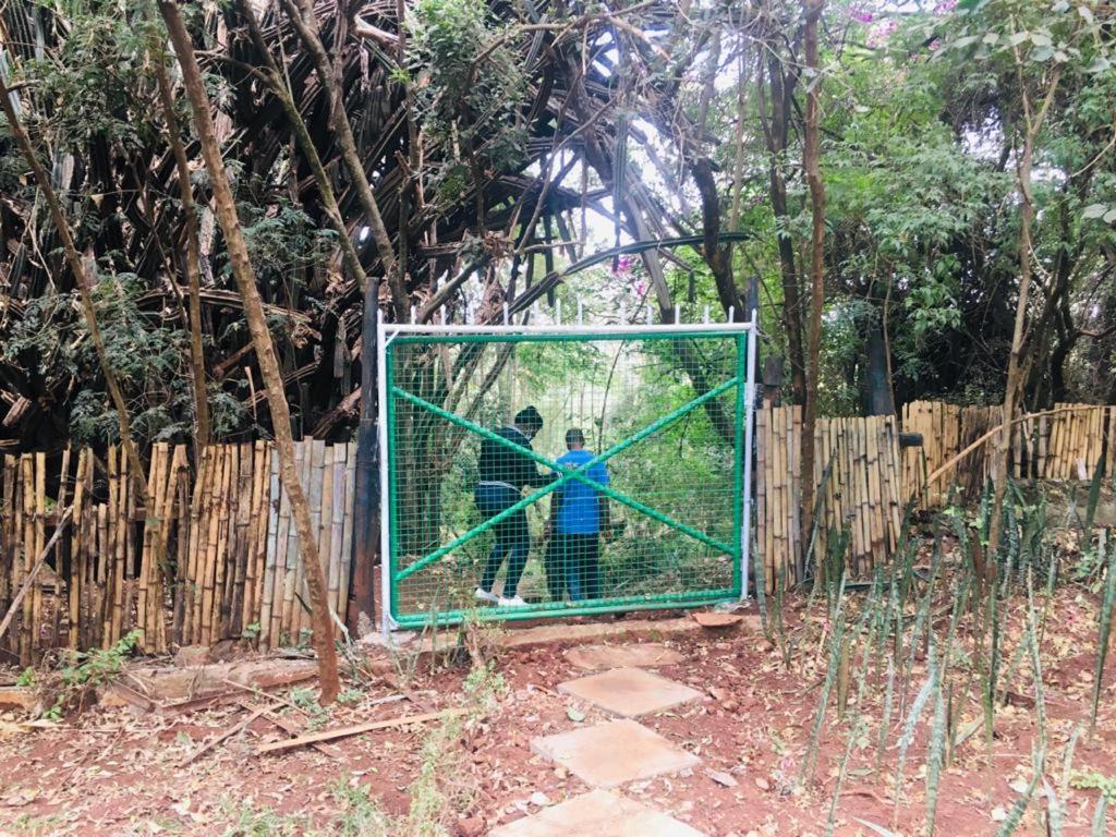 Idyllic Mistley House And Gardens Off Kamiti Road. Campsite