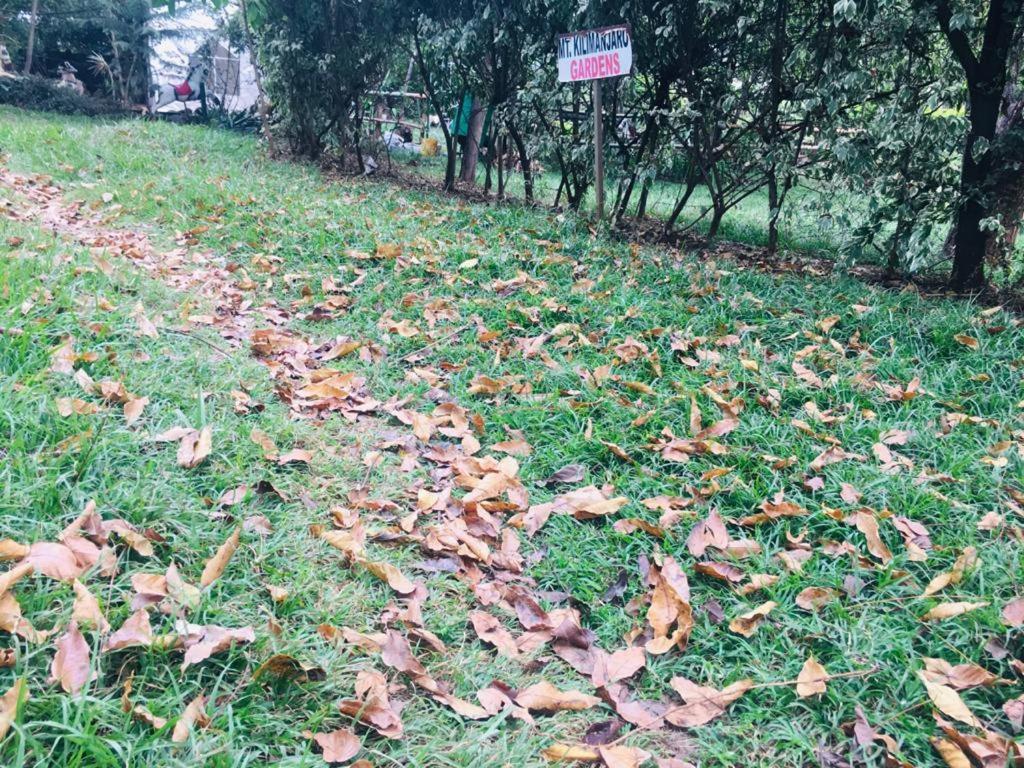Idyllic Mistley House And Gardens Off Kamiti Road. *