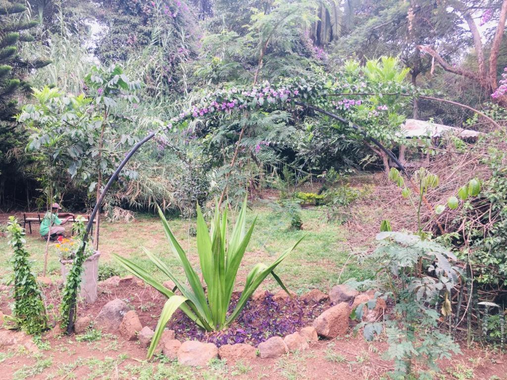 Idyllic Mistley House And Gardens Off Kamiti Road. Campsite *