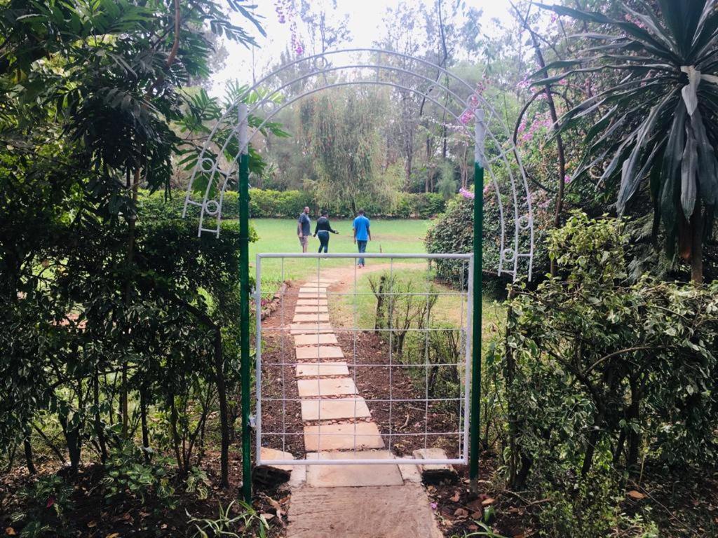 Campsite Idyllic Mistley House And Gardens Off Kamiti Road.