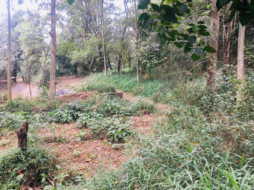 Idyllic Mistley House And Gardens Off Kamiti Road. Campsite Nairobi