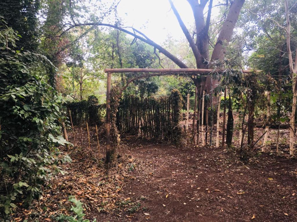 Campsite Idyllic Mistley House And Gardens Off Kamiti Road. Nairobi