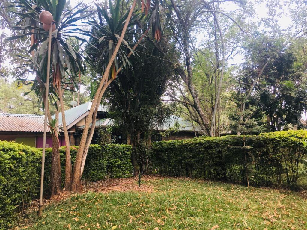 Campsite Idyllic Mistley House And Gardens Off Kamiti Road.