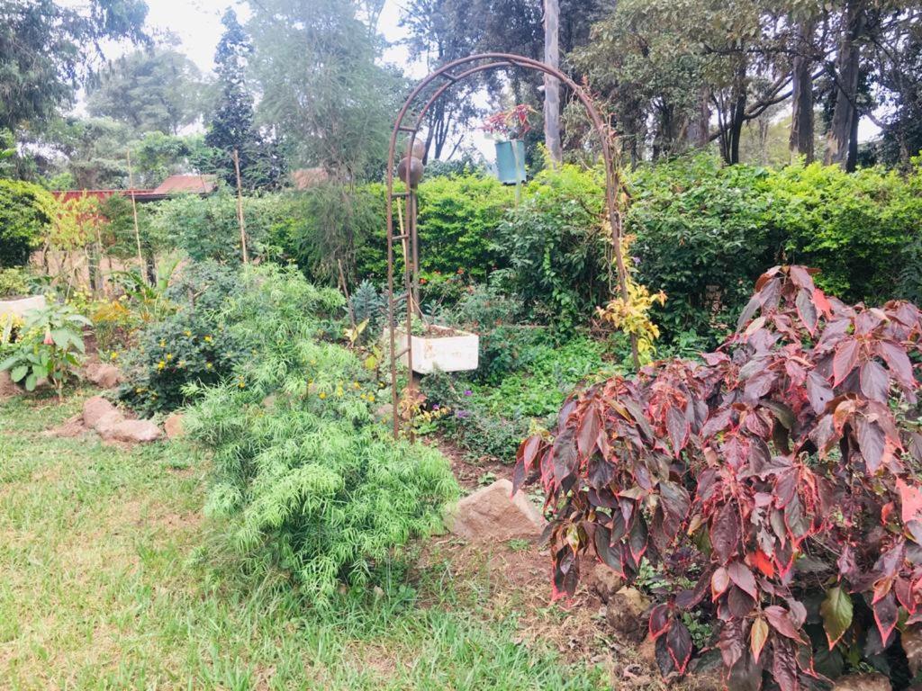Campsite Idyllic Mistley House And Gardens Off Kamiti Road. *