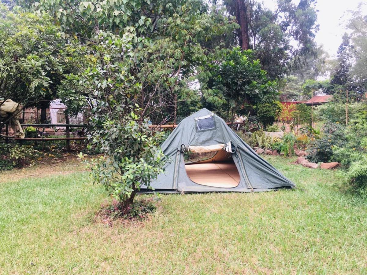 Campsite Idyllic Mistley House And Gardens Off Kamiti Road.