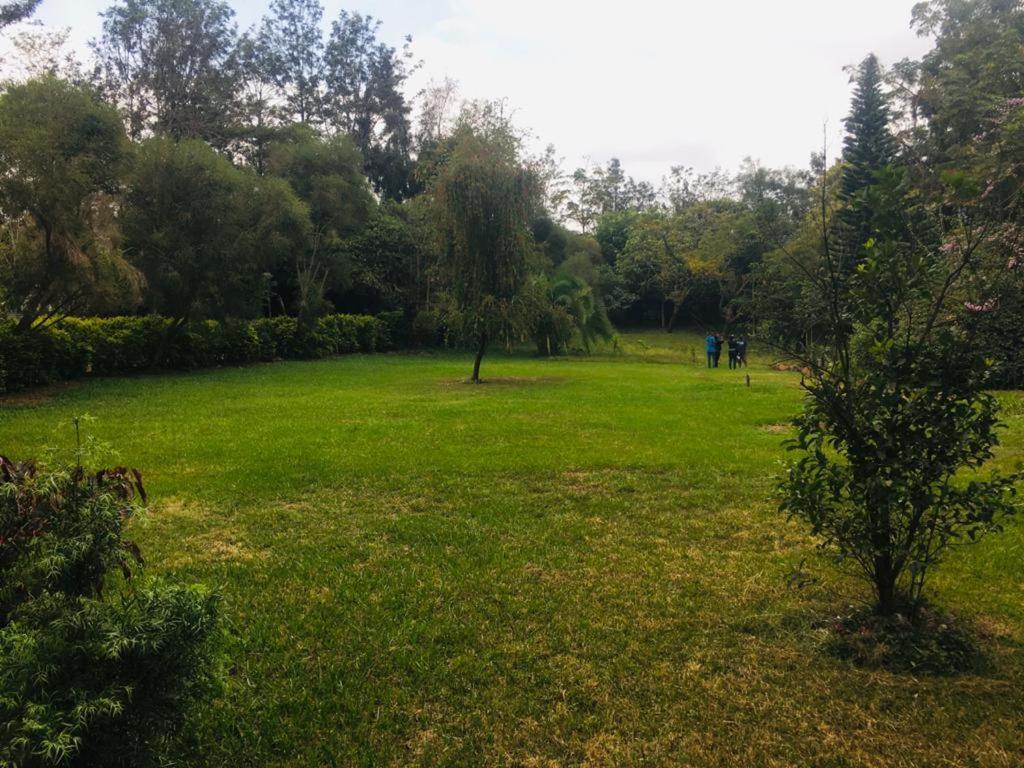 Idyllic Mistley House And Gardens Off Kamiti Road. Campsite Nairobi
