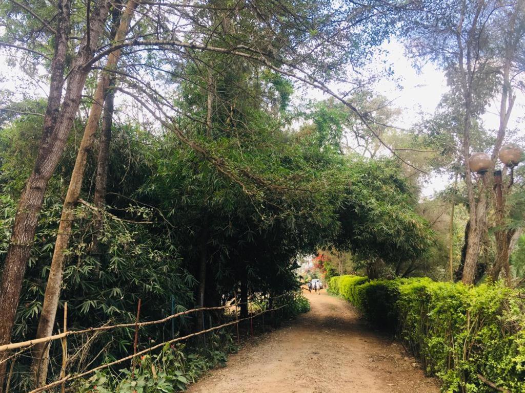 Campsite Idyllic Mistley House And Gardens Off Kamiti Road. *