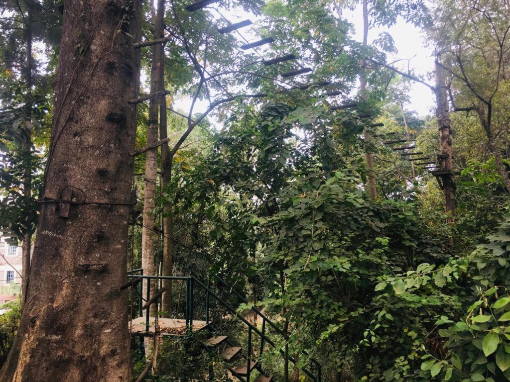 Idyllic Mistley House And Gardens Off Kamiti Road. Campsite *