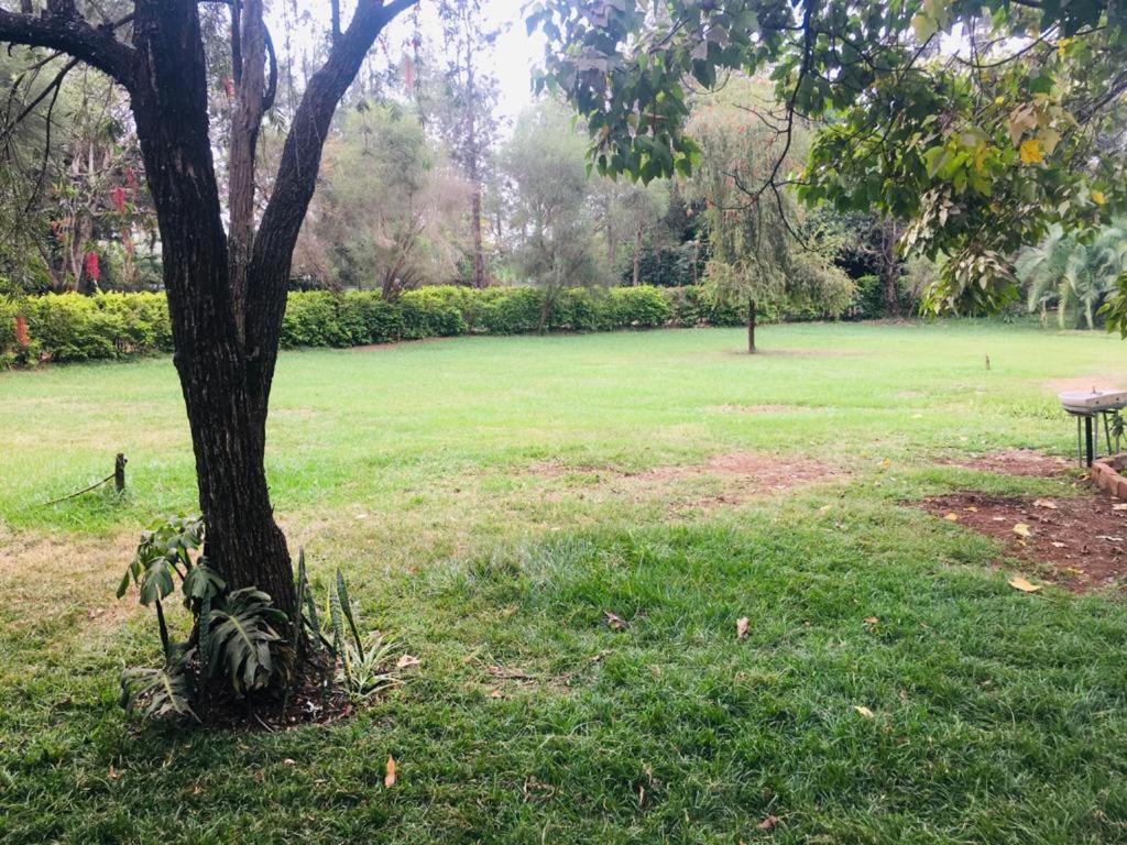 Idyllic Mistley House And Gardens Off Kamiti Road. * Nairobi