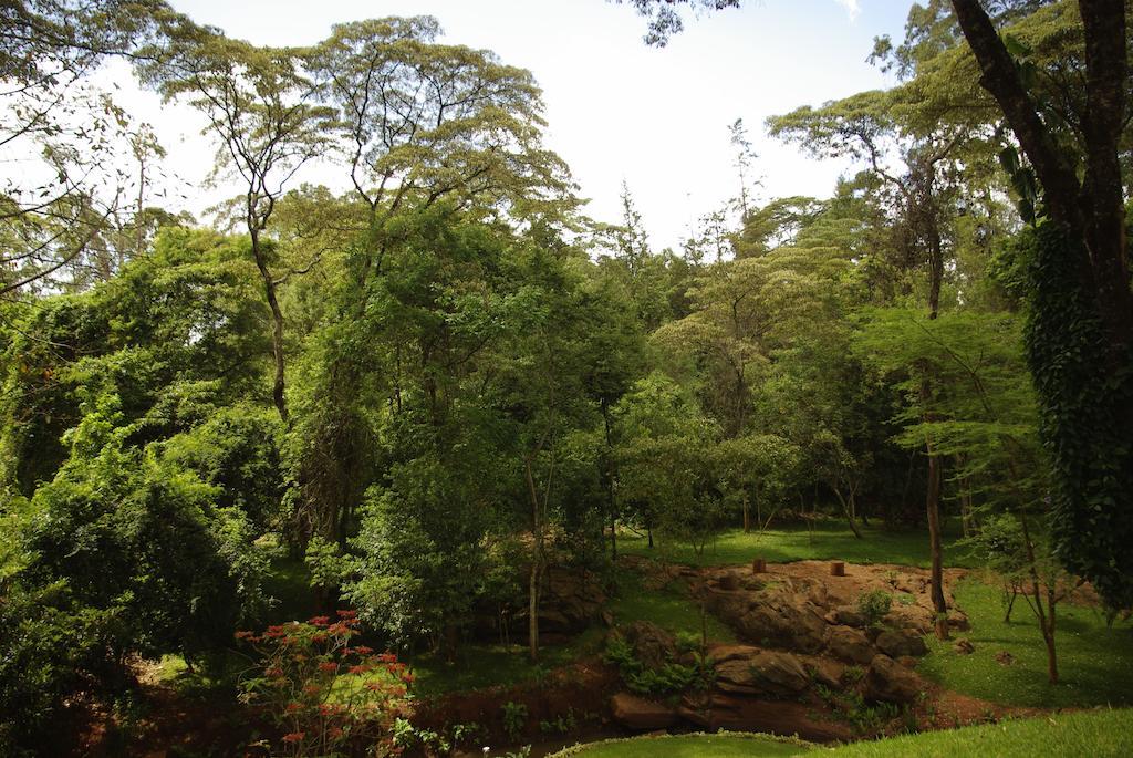 West Wood 4*