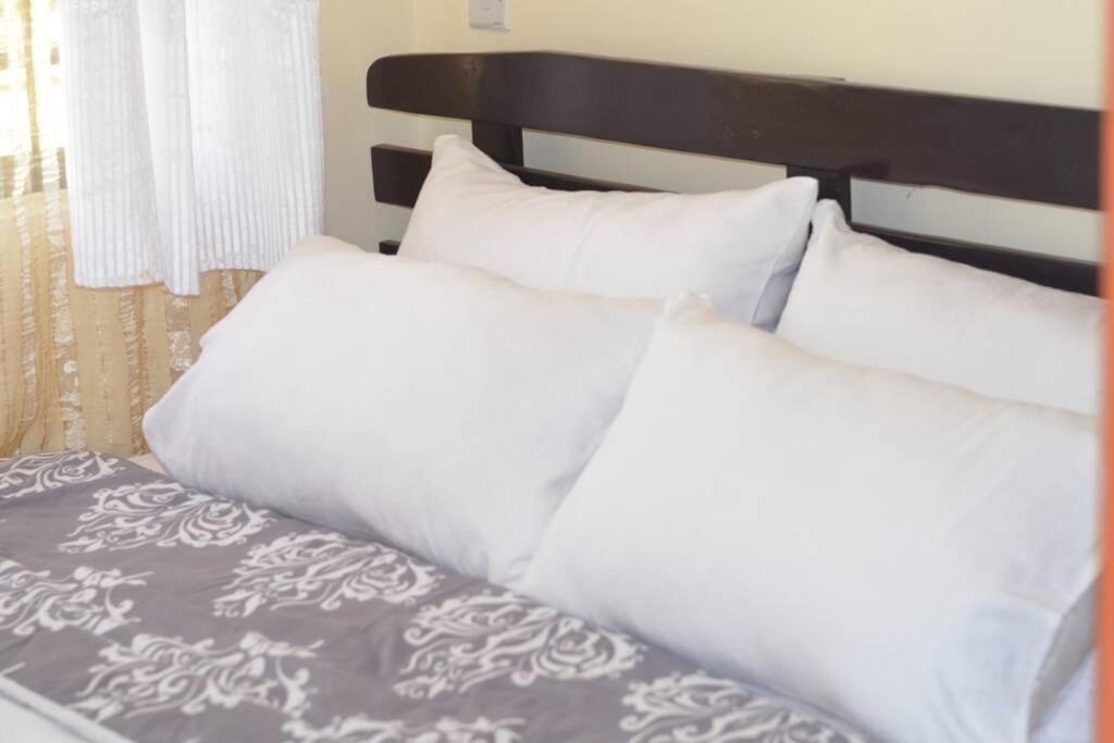 Apartment Karibu To The Small 2-palas At Cityview In Ngara West Behind Stima Plaza Parklands Nairobi